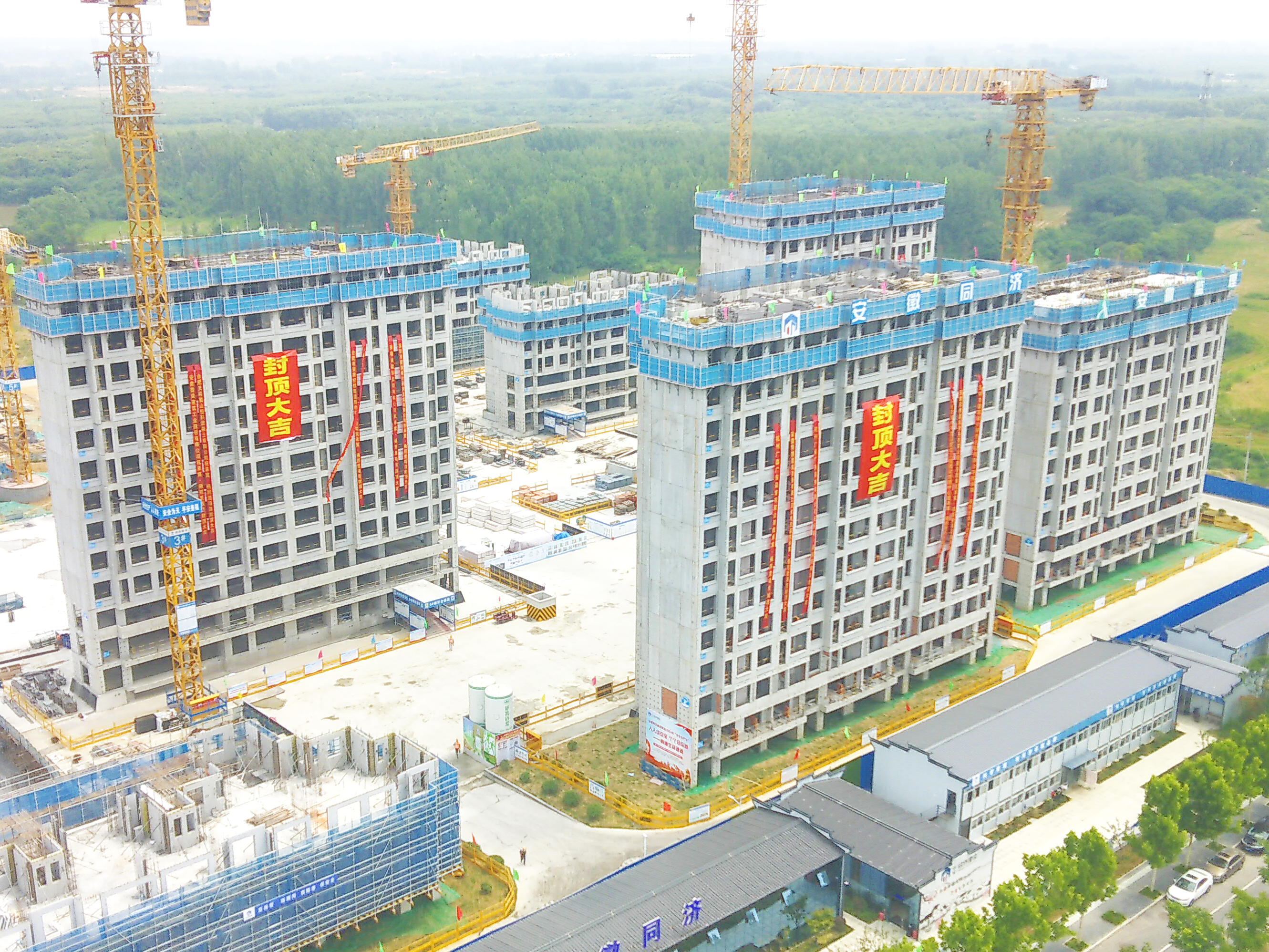 尊龙凯时 - 人生就是搏!